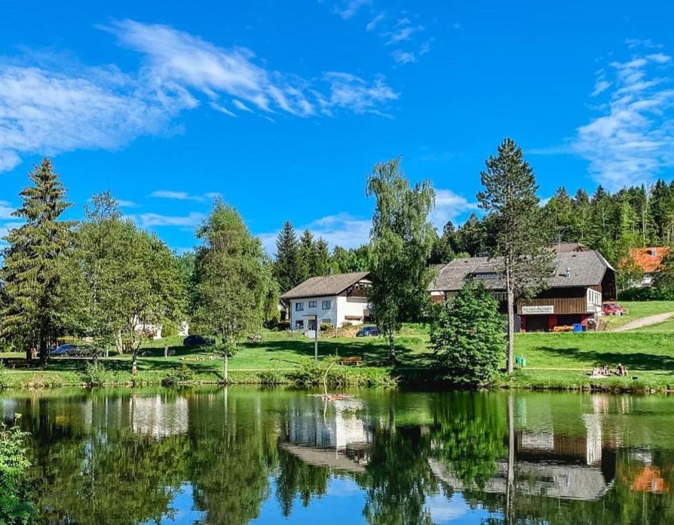 Ferienwohnungen Am Skilift Herrischried Bagian luar foto