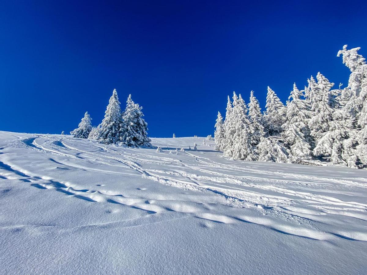 Ferienwohnungen Am Skilift Herrischried Bagian luar foto
