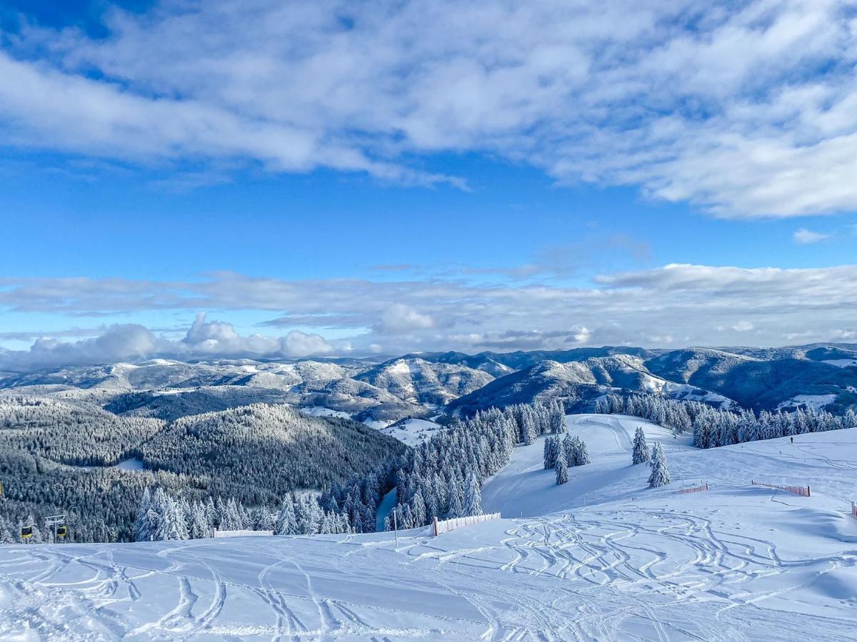 Ferienwohnungen Am Skilift Herrischried Bagian luar foto