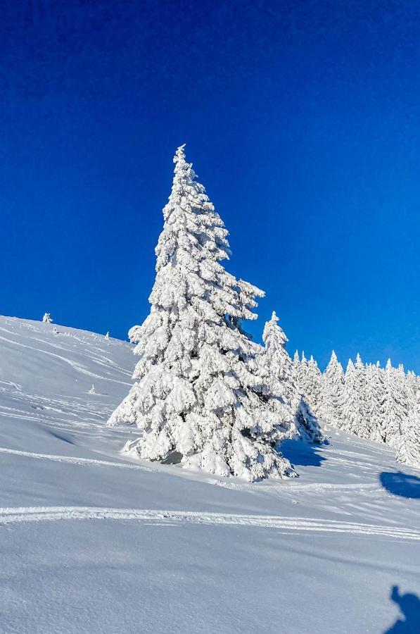 Ferienwohnungen Am Skilift Herrischried Bagian luar foto