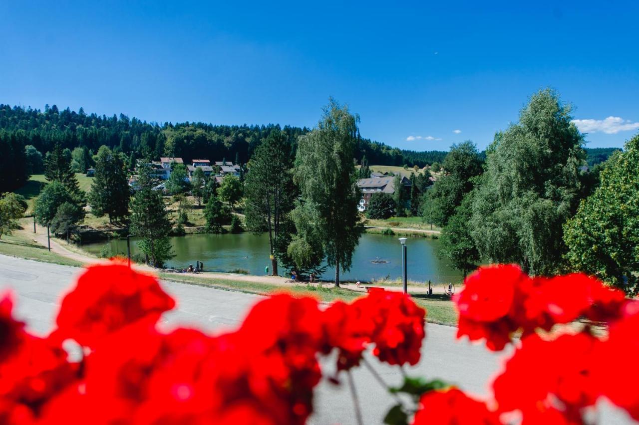 Ferienwohnungen Am Skilift Herrischried Bagian luar foto