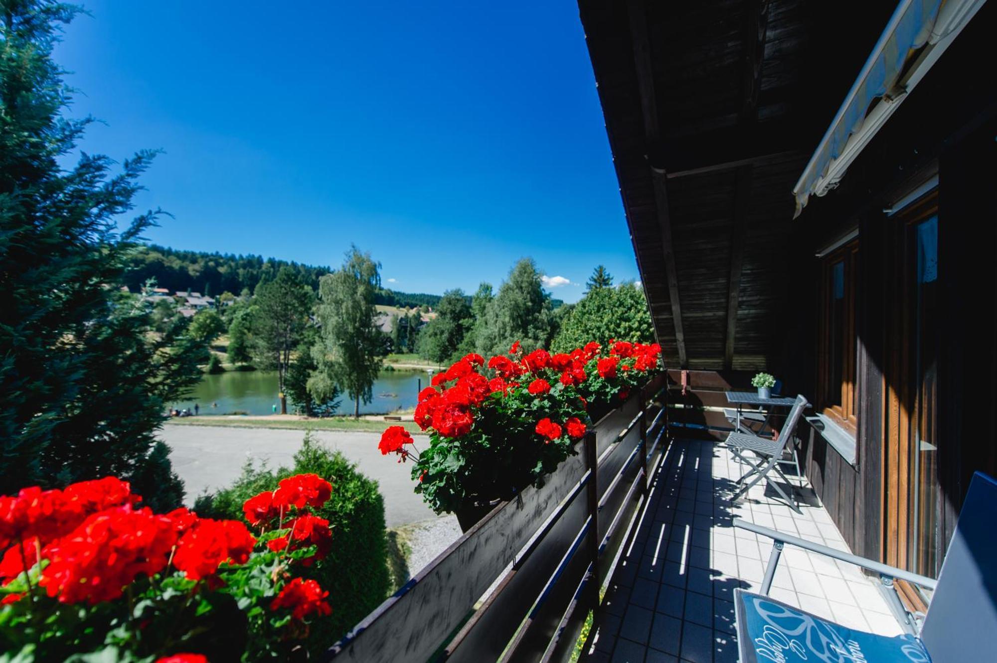 Ferienwohnungen Am Skilift Herrischried Bagian luar foto