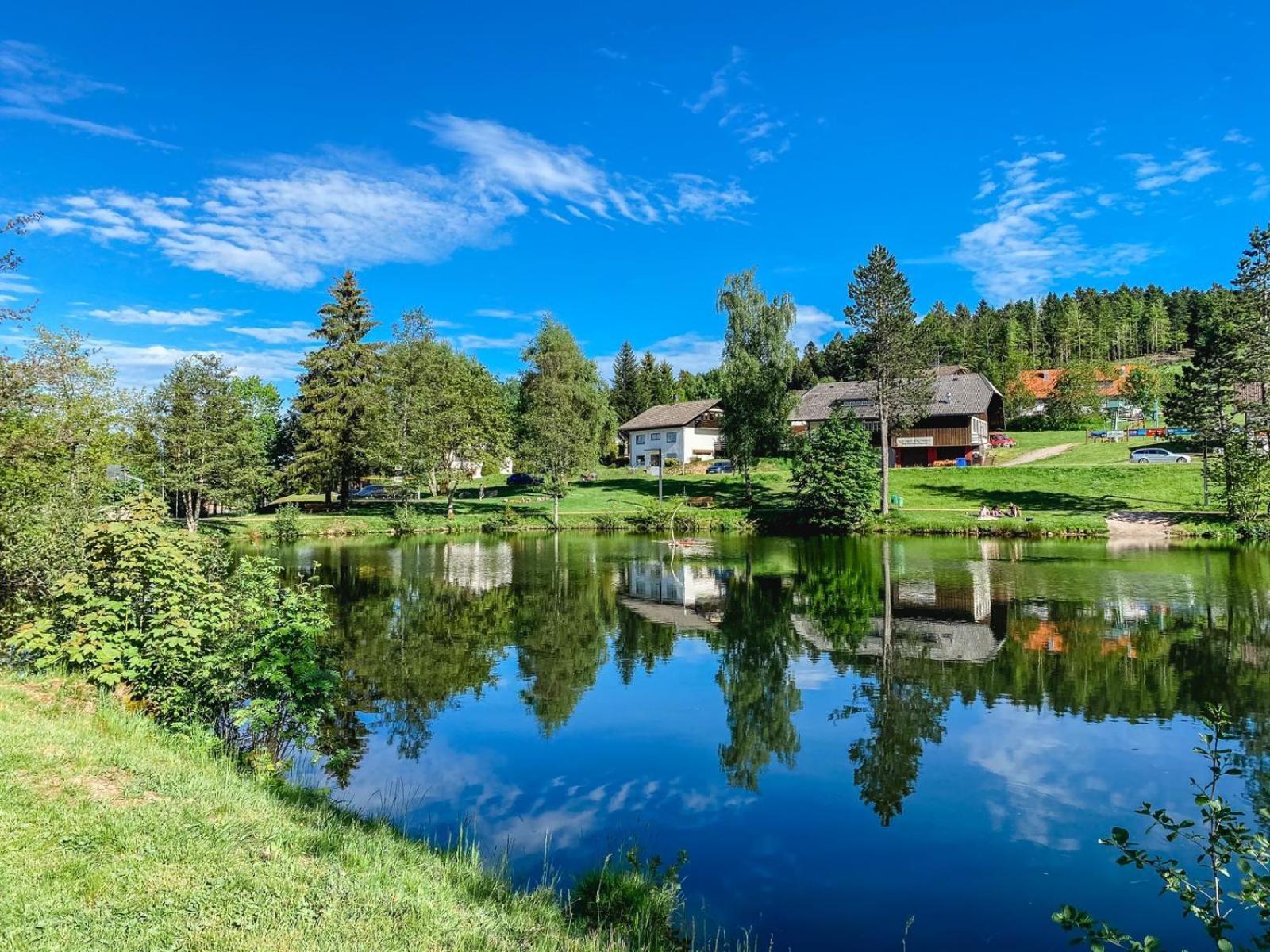 Ferienwohnungen Am Skilift Herrischried Bagian luar foto