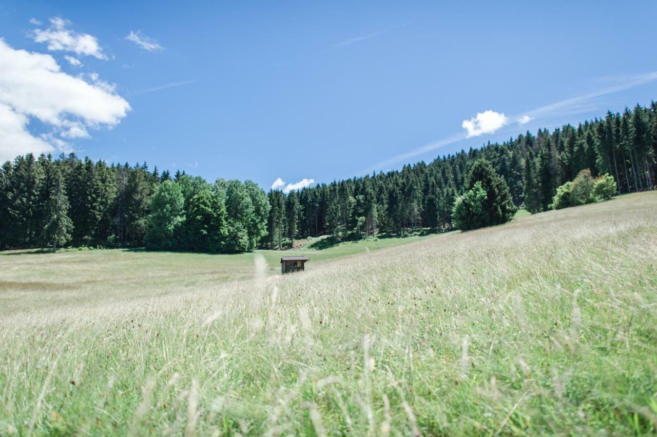 Ferienwohnungen Am Skilift Herrischried Bagian luar foto