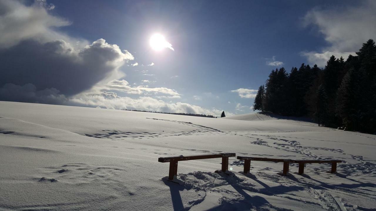 Ferienwohnungen Am Skilift Herrischried Bagian luar foto