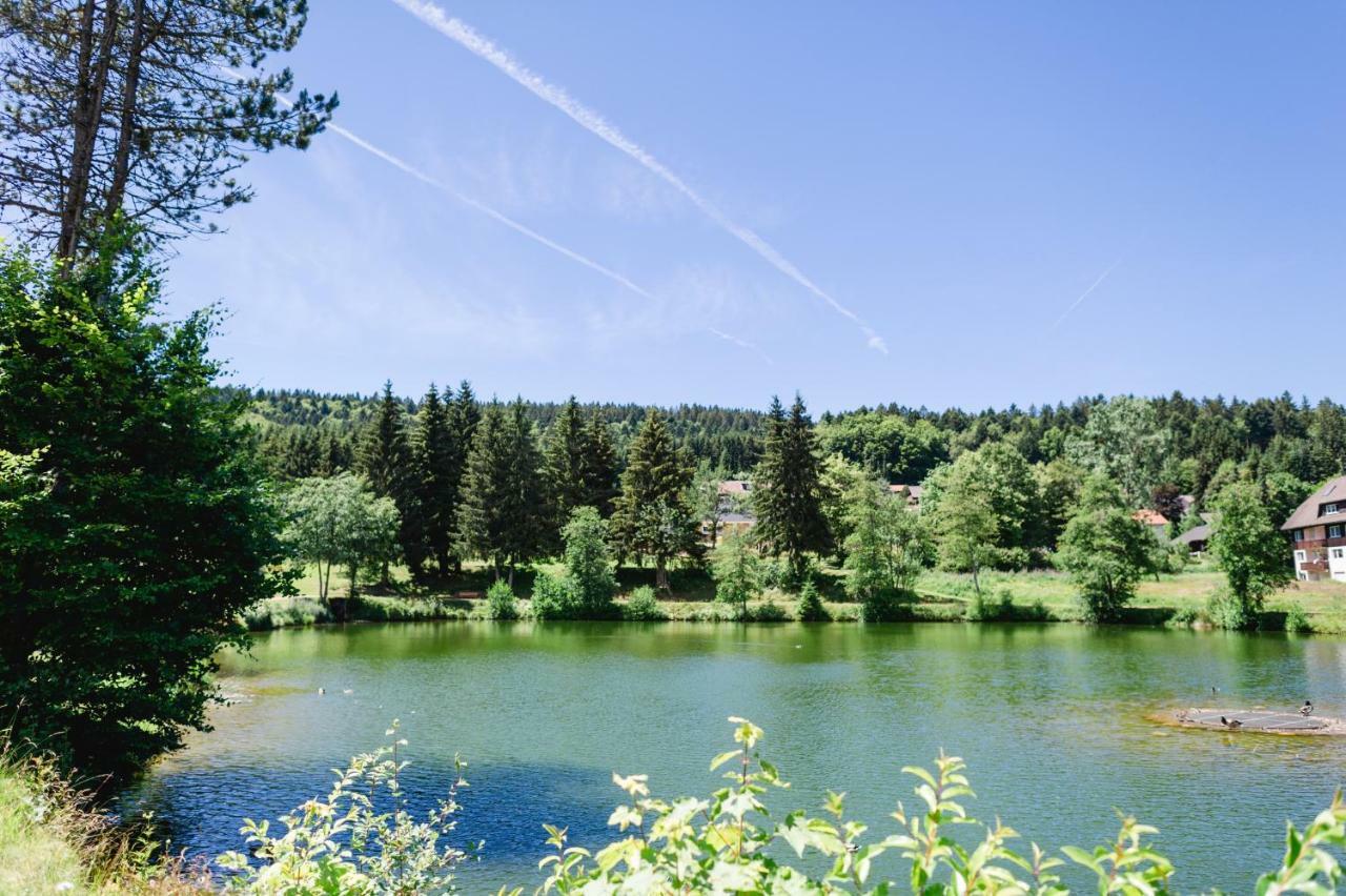 Ferienwohnungen Am Skilift Herrischried Bagian luar foto
