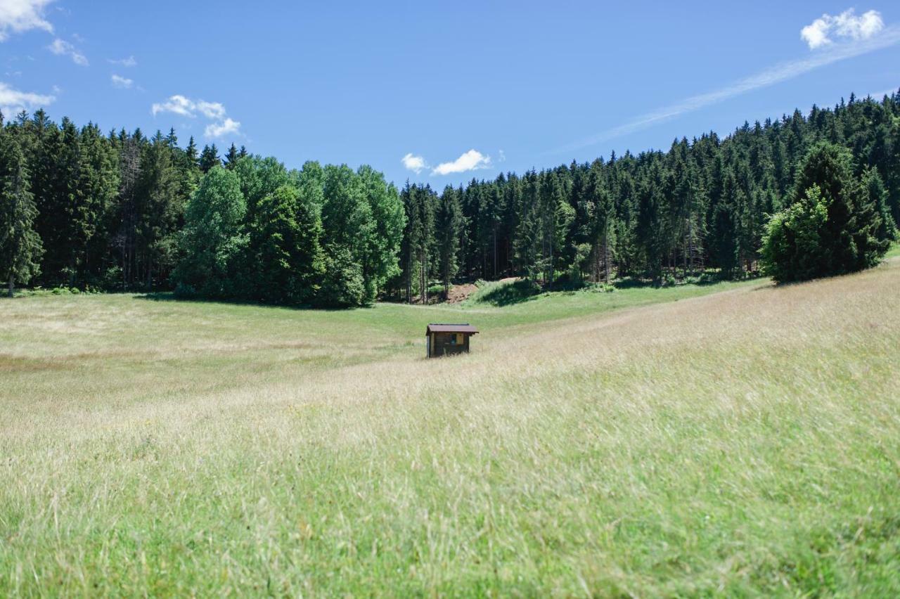 Ferienwohnungen Am Skilift Herrischried Bagian luar foto
