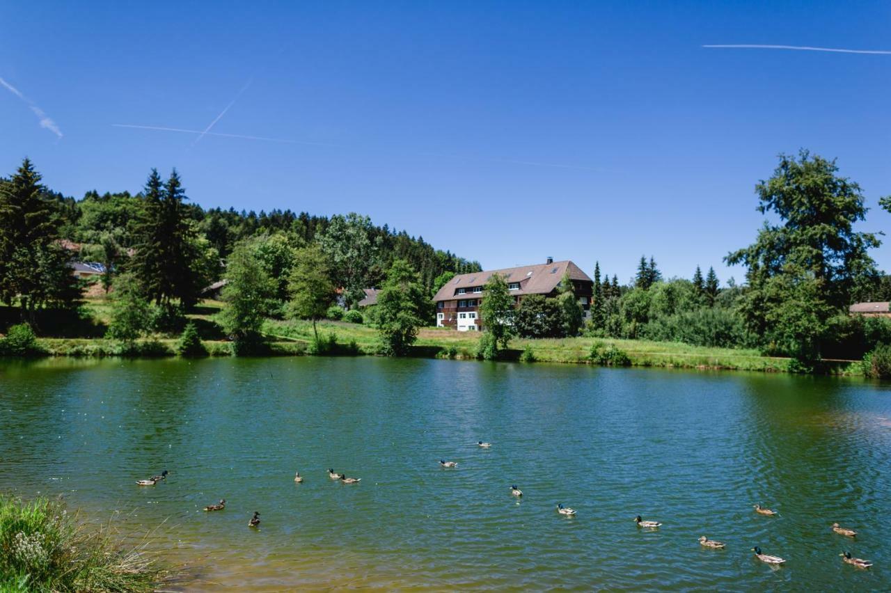 Ferienwohnungen Am Skilift Herrischried Bagian luar foto