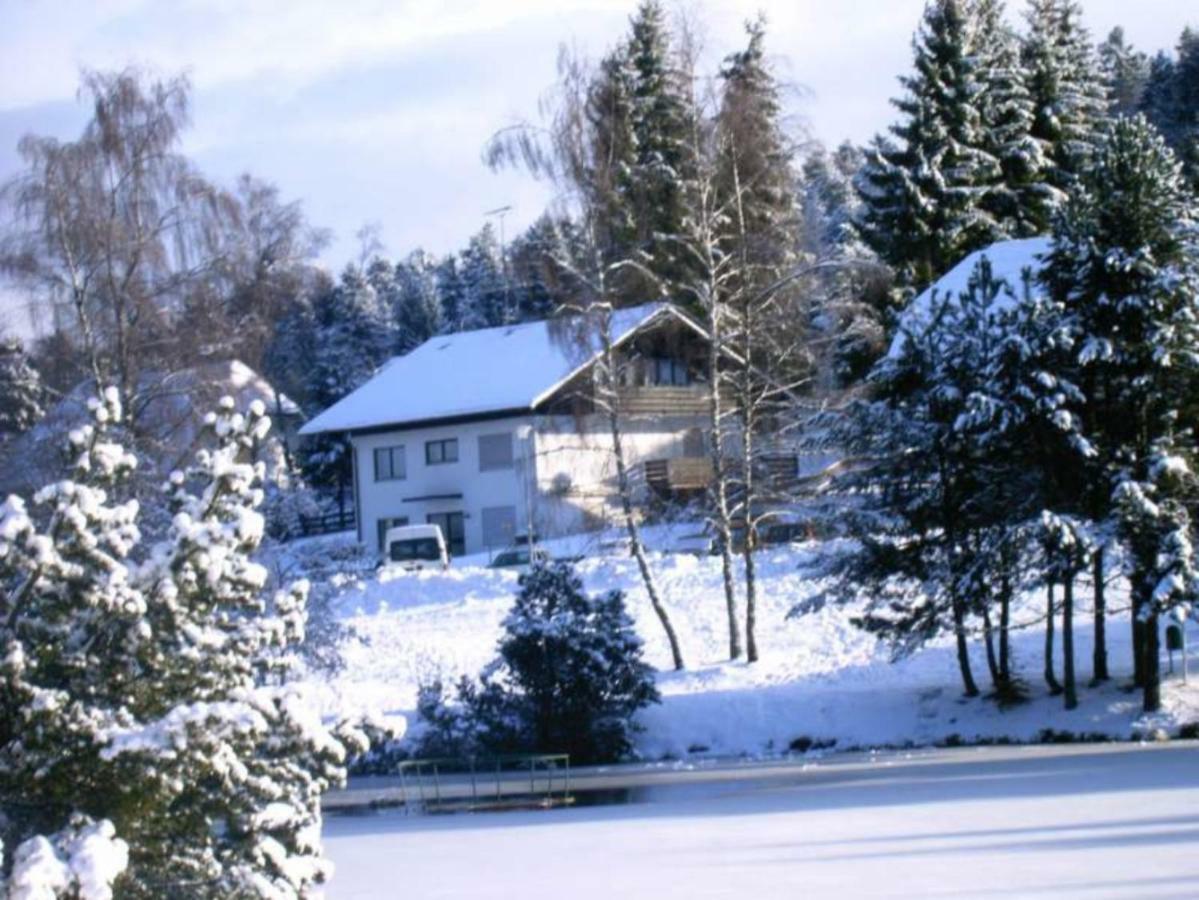 Ferienwohnungen Am Skilift Herrischried Bagian luar foto