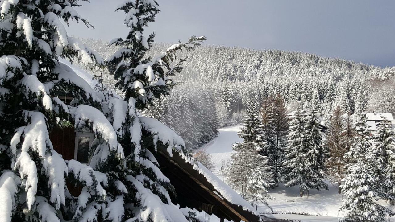 Ferienwohnungen Am Skilift Herrischried Bagian luar foto